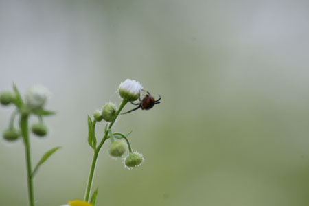 IMG_7479