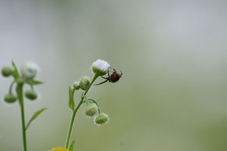 IMG_7481