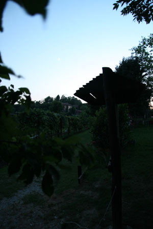 IMG_7660