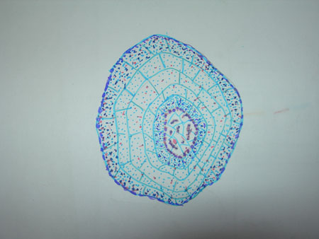 DSCN7752