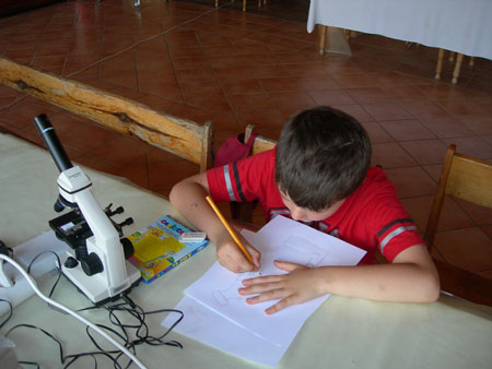 DSCN7766