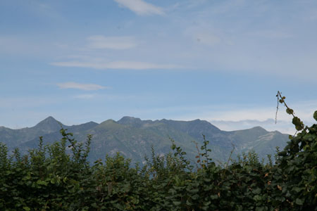 IMG_8833