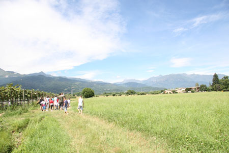 IMG_8847