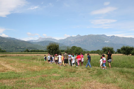 IMG_8854