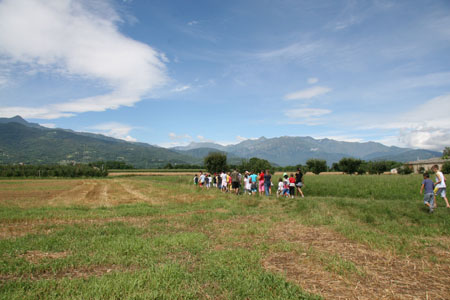 IMG_8855