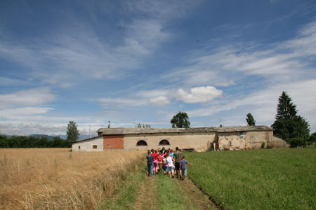 IMG_8865