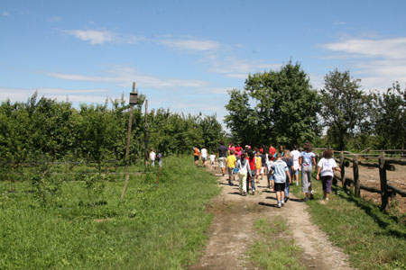 IMG_8959