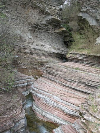 DSCN8876
