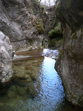 DSCN8919