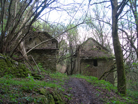 DSCN8928