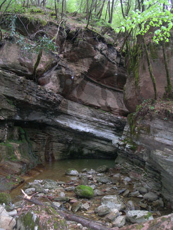 DSCN8942