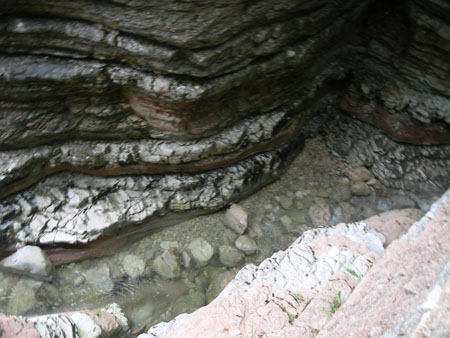 DSCN8405