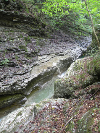 DSCN8573