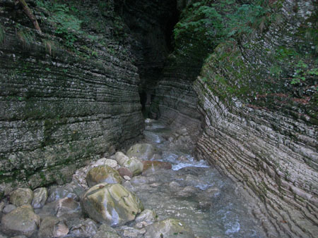 DSCN8608