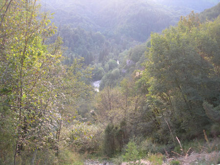 DSCN8609
