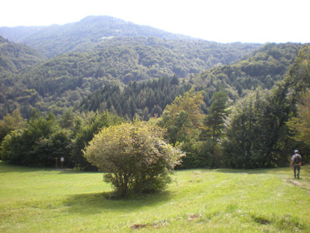 DSCN8610059