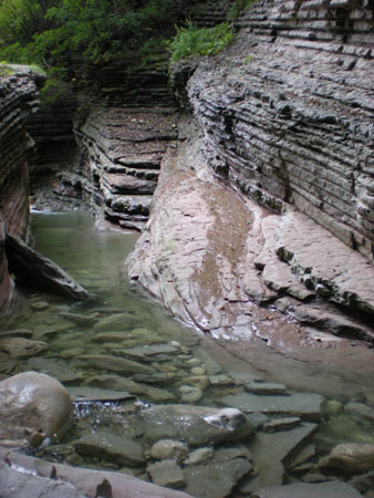 DSCN8610081