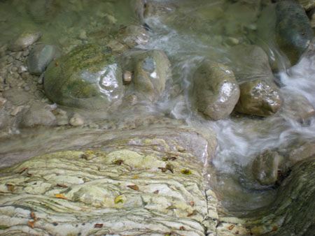 DSCN8610102