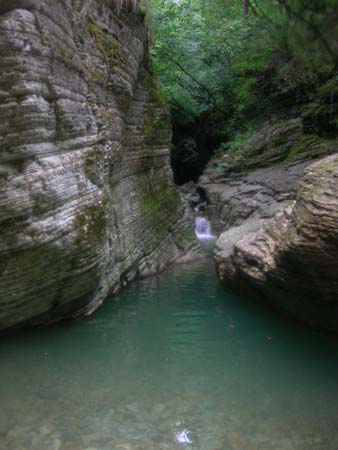 DSCN0081