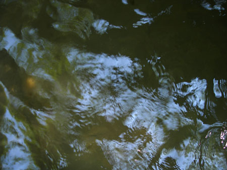 DSCN8694