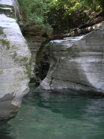 DSCN8757
