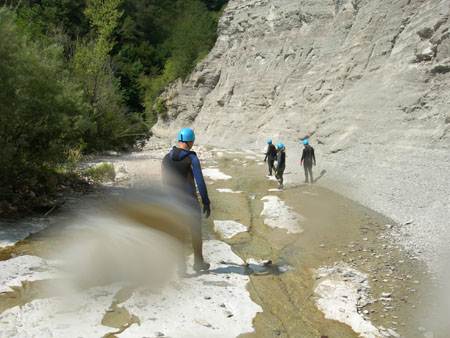 DSCN8785