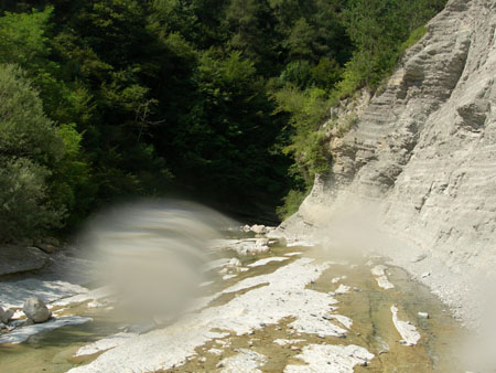 DSCN8787