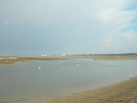 DSCN8572