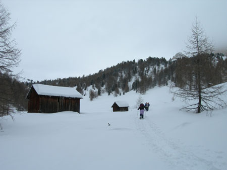 DSCN9876