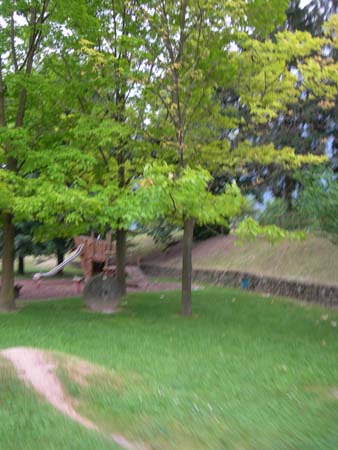 DSCN0233