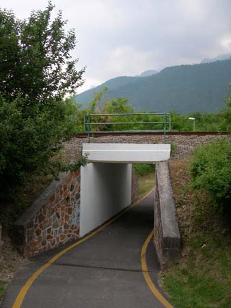DSCN0246