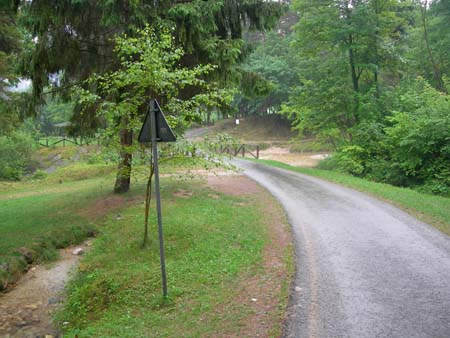 DSCN0272
