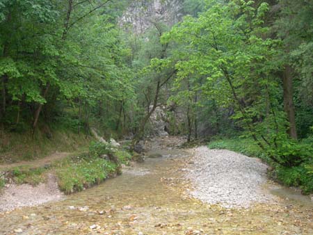 DSCN0274