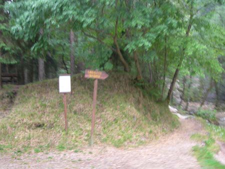 DSCN0277