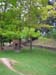 DSCN0233