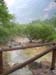 DSCN0275