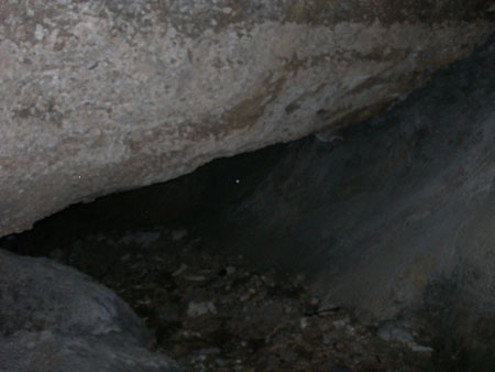 DSCN8804