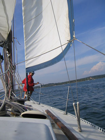estate 20040018