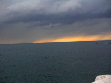 estate 20040047