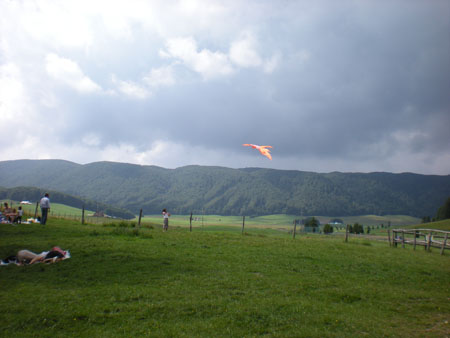 DSCN8561