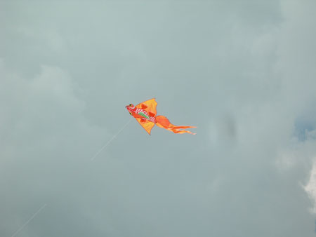 DSCN8636