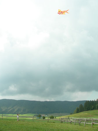 DSCN8639