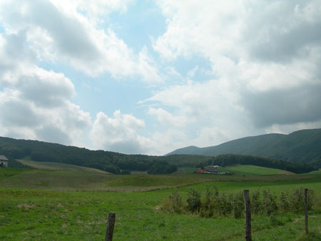 DSCN8642