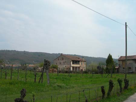 DSCN9133