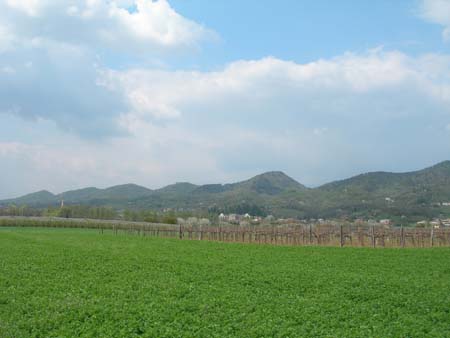 DSCN9229