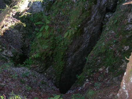 DSCN8648
