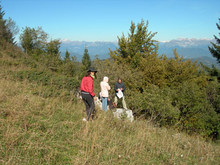 DSCN8656
