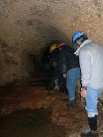 DSCN0221