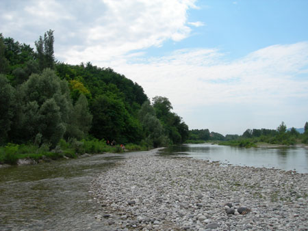 DSCN8349