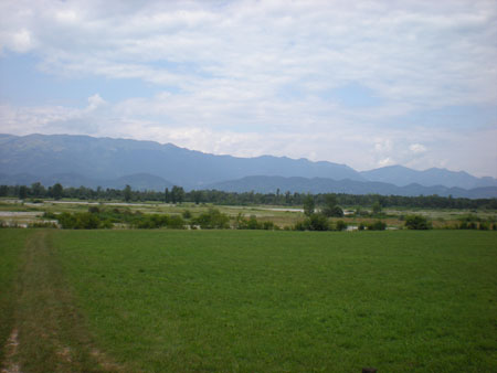 sDSCN8349